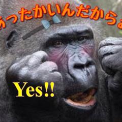 テンション上がって寝れない組