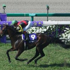 競馬好き♡部屋(ฅ'ω'ฅ)♪初心者大歓迎ｯ!!!!