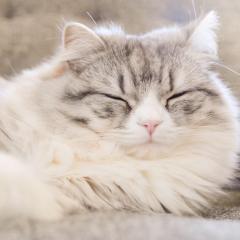 使い方テストルーム..☆