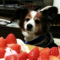 ジナンのトーク