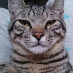 RIONAのヽ(♡>∀<)ﾉトーク