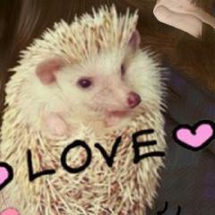 福岡のかた集まれー