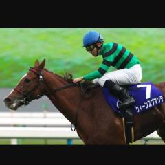 競馬の話を共有したい！