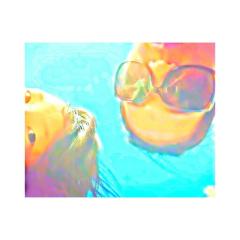 ア ﾕ ｶ ｡ @魔