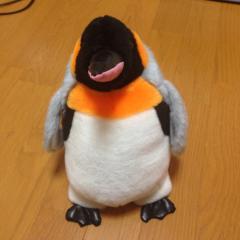 魚心君のトーク