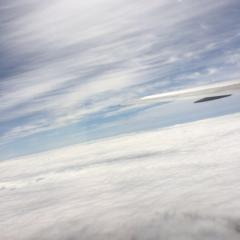 スポーツトレーナーを目指す高校生