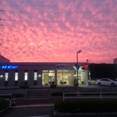 ありぃんと葵佳の部屋