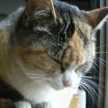 サクチャンのトーク