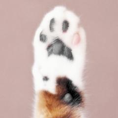 りおな