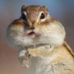 き た や ま な つ       #