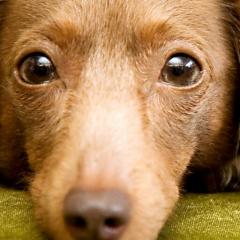 なんでもトーク部屋！日常、悩み、愚痴、eto