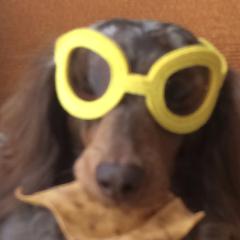 ピースのトーク