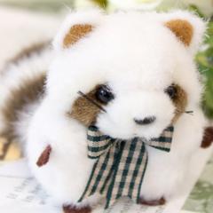 のんびり雑誌と白猫グル