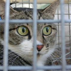 bein_nogiのトーク