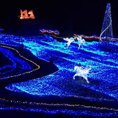 あばんちゅるるんのトーク