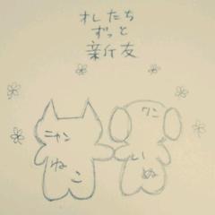 🐱ねこいぬ🐶
