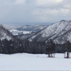 ワイスキーヤー(遊び程度)何故みなボードやるか教えてクレメンス…