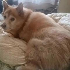 ｃｈａｔａｒｏ