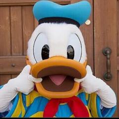 ドナルドダック🐤