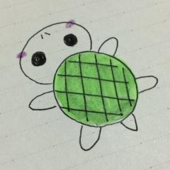 亀くん