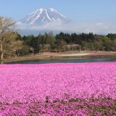 さやねえについて語ろうの会