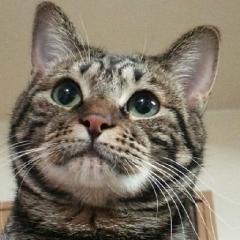 れんねん