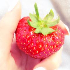 あしゅみんのトーク