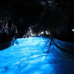 hi-koのお部屋🦁🙊