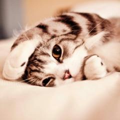 実咲(*´ω｀*)のトーク