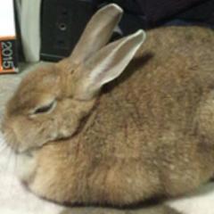 みーたろ