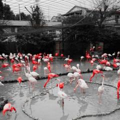 大喜利舘の夜ふけ