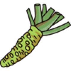 本わさび