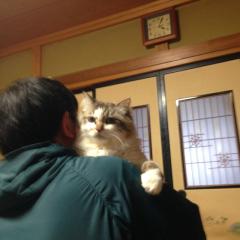 マンウィズアぽん太