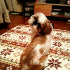 かずぴょんのトーク