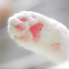 シェアハウス☆☆住人募集中