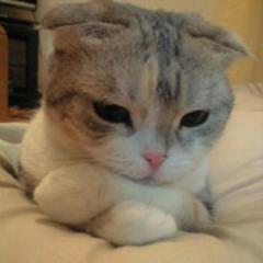 お互い癒し癒され部屋 管理者はお兄ちゃん