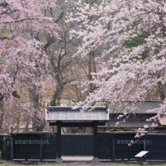 灰色の死神屋敷中央（境界編）