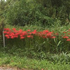 灰色の死神事前準備（境界編）