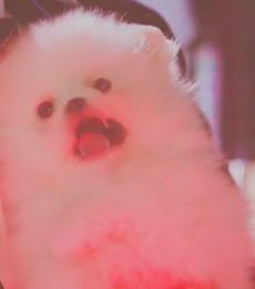 ๆ็จฟ็ปๅ