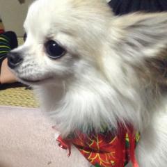 たくちん@TAKUCHIN0831