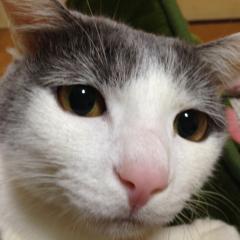 おもんない部屋₍₍ (ง ´˂˃` )ว ⁾⁾