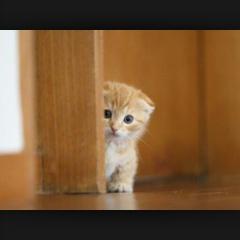 女子三人&男子三人