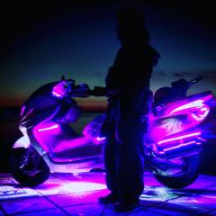 teamatelier ビッグ好きかもん