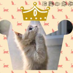 王族♡女子ルーム