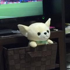 たいすけのトーク