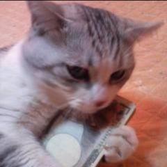 ☆しょう☆のトーク