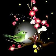 関東の埼玉 さいたま  大宮 浦和 足立 葛飾 周いる･･･？