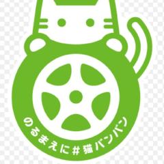 猫バンバン