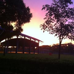 ことりの海外での生活日記？