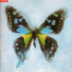 スポーツ好きの部屋